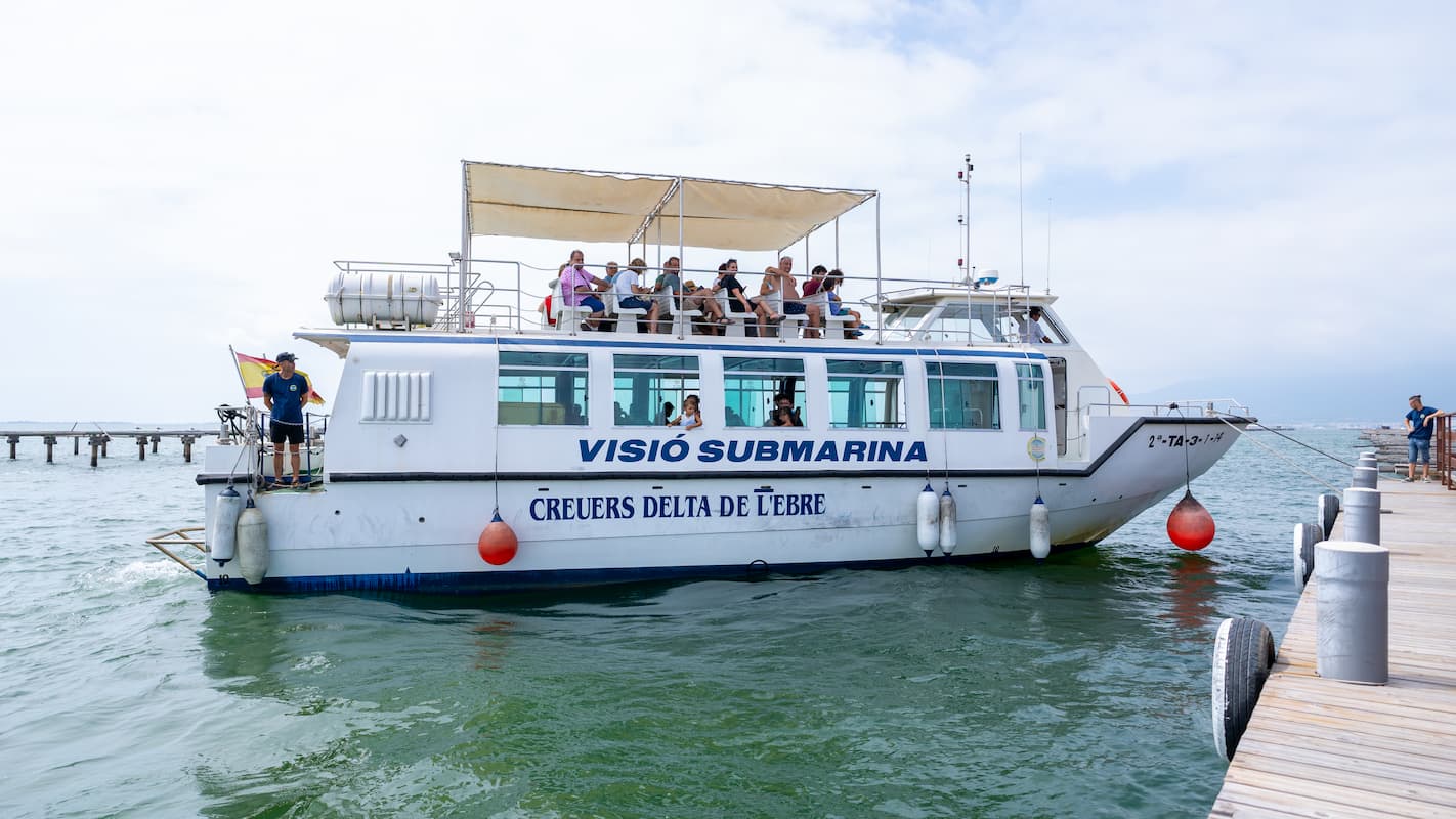 Ruta muscleres: Golondrina Tour SENSE degustació