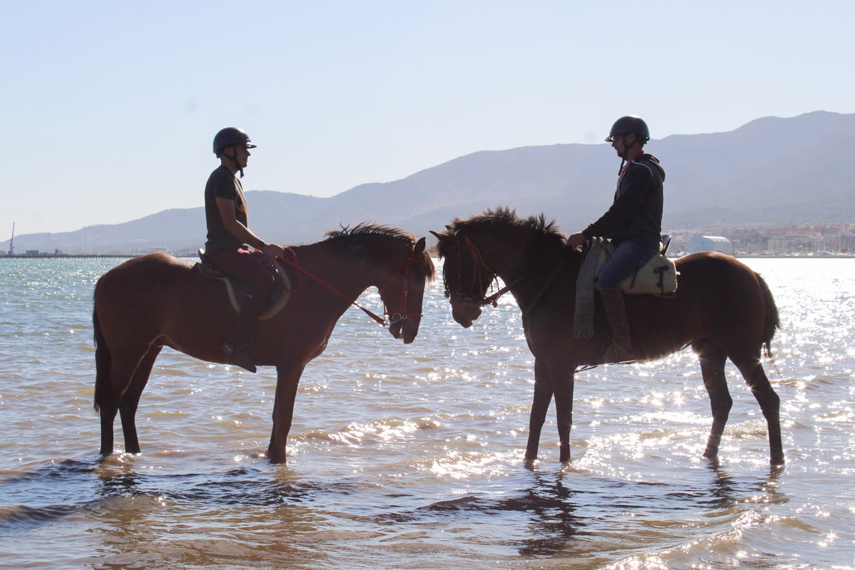 Paseo a Caballo por el Delta