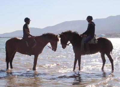 Paseo a Caballo por el Delta