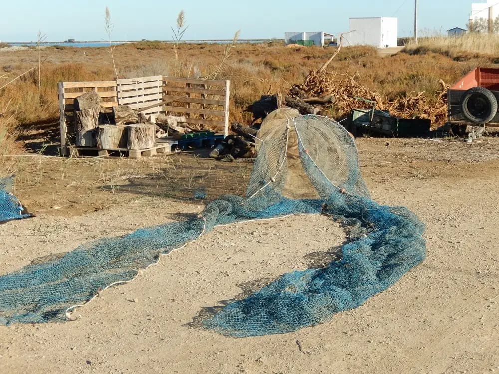 Visita a la Cofradía de Pescadores de Sant Pere