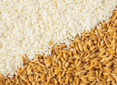 La ruta del arroz